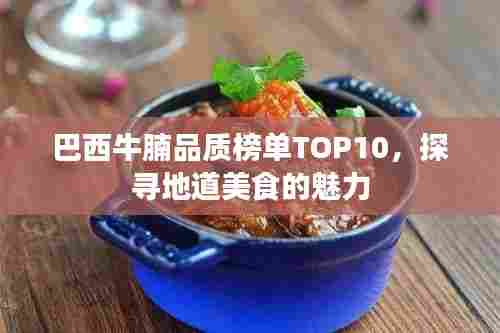 巴西牛腩品质榜单TOP10，探寻地道美食的魅力