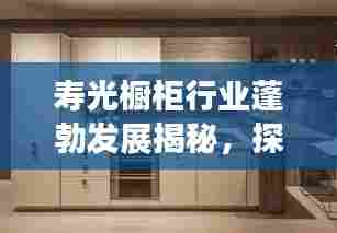 寿光橱柜行业蓬勃发展揭秘，探寻业内排名前十的优质厂家