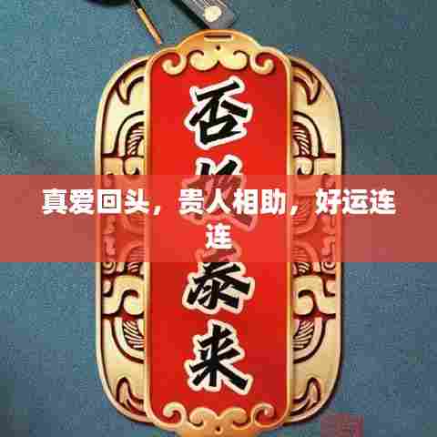 真爱回头，贵人相助，好运连连
