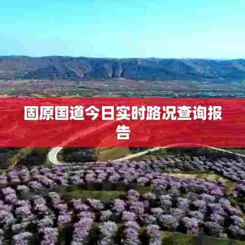 固原国道今日实时路况查询报告