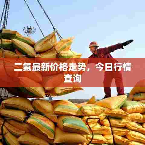 二氨最新价格走势，今日行情查询