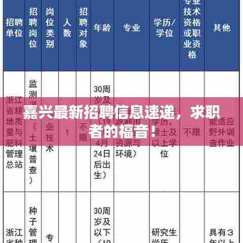 嘉兴最新招聘信息速递,求职者的福音!