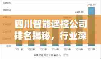 四川智能遥控公司排名揭秘,行业深度分析与前景展望
