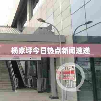 杨家坪今日热点新闻速递