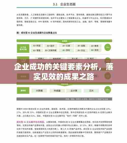 企业成功的关键要素分析，落实见效的成果之路