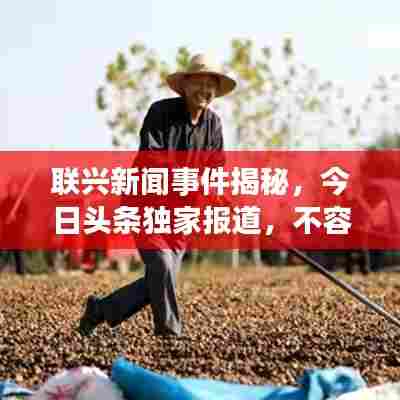 联兴新闻事件揭秘，今日头条独家报道，不容错过！