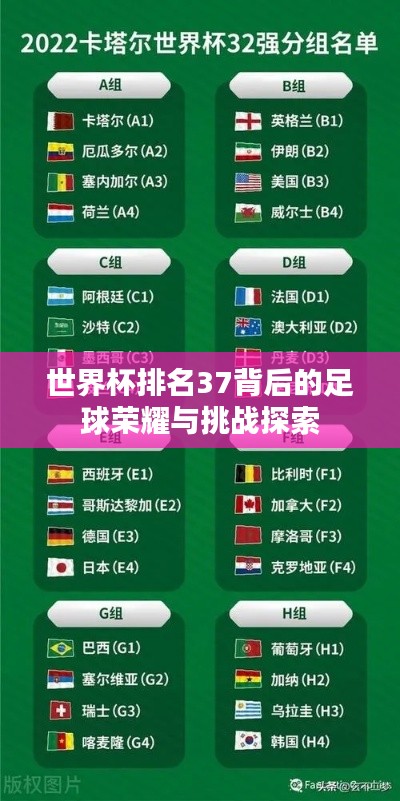 世界杯排名37背后的足球荣耀与挑战探索