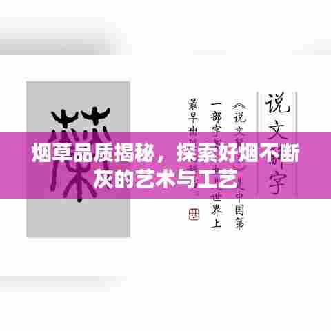 烟草品质揭秘，探索好烟不断灰的艺术与工艺