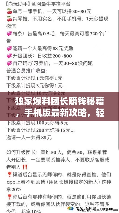 独家爆料团长赚钱秘籍，手机版最新攻略，轻松成为财富达人！
