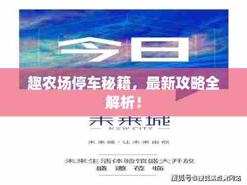 趣农场停车秘籍，最新攻略全解析！