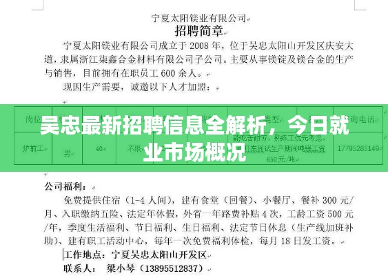 吴忠最新招聘信息全解析，今日就业市场概况