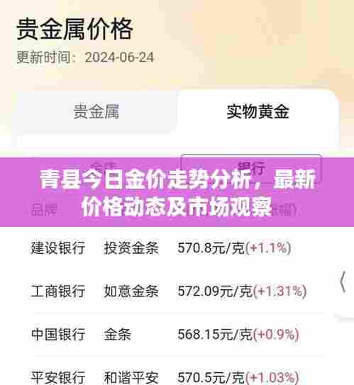 青县今日金价走势分析，最新价格动态及市场观察