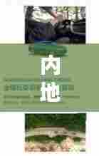 全始全终 第5页