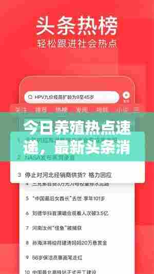 今日养殖热点速递，最新头条消息汇总