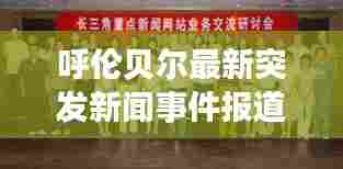 呼伦贝尔最新突发新闻事件报道