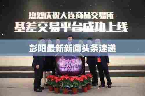 彭阳最新新闻头条速递