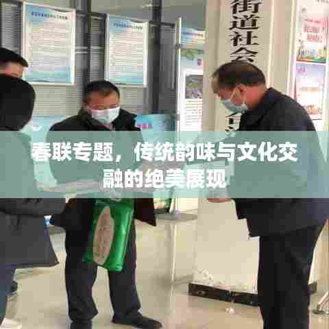 春联专题，传统韵味与文化交融的绝美展现