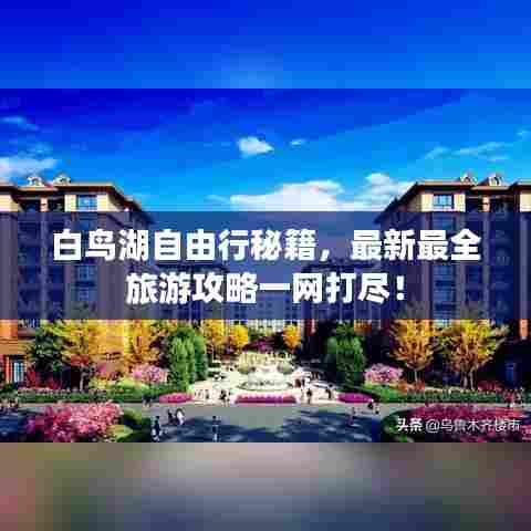 白鸟湖自由行秘籍，最新最全旅游攻略一网打尽！