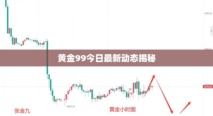 黄金99今日最新动态揭秘