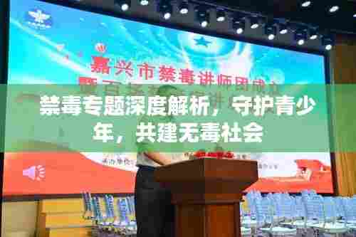 禁毒专题深度解析，守护青少年，共建无毒社会