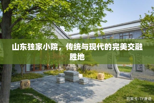 山东独家小院，传统与现代的完美交融胜地