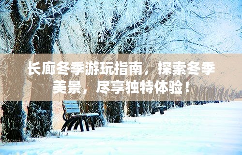 贵极人臣 第5页