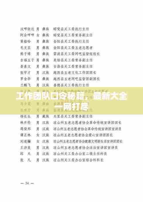 工作团队口令秘籍，最新大全一网打尽