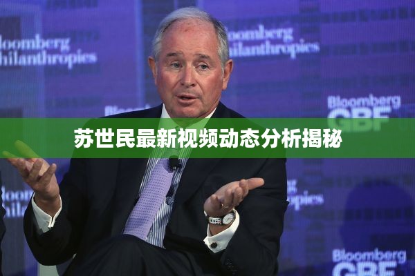 苏世民最新视频动态分析揭秘