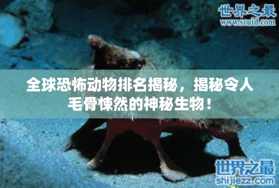 全球恐怖动物排名揭秘,揭秘令人毛骨悚然的神秘生物!