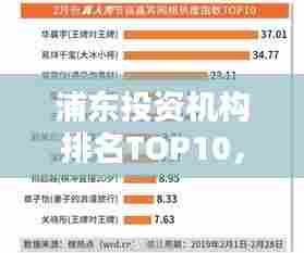 浦东投资机构排名TOP10，引领投资风潮的佼佼者榜单揭晓！