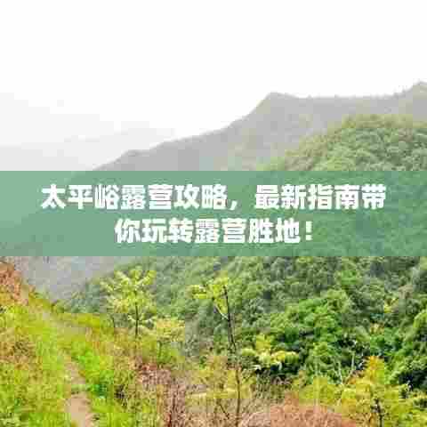 太平峪露营攻略,最新指南带你玩转露营胜地!