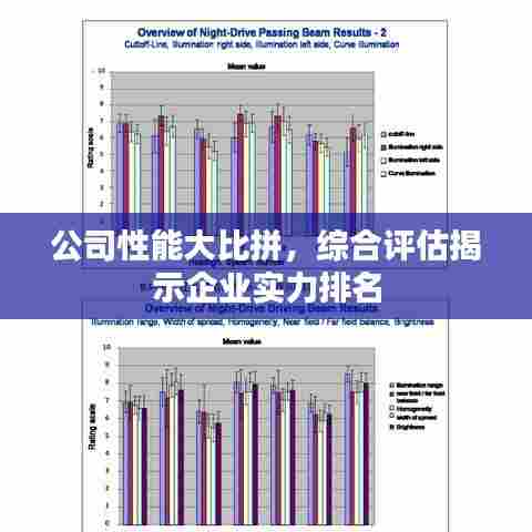 公司性能大比拼，综合评估揭示企业实力排名