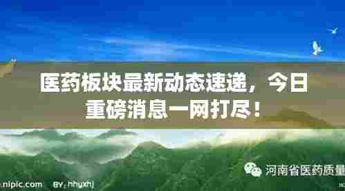 医药板块最新动态速递，今日重磅消息一网打尽！