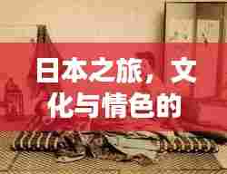 日本之旅，文化与情色的独特交融攻略