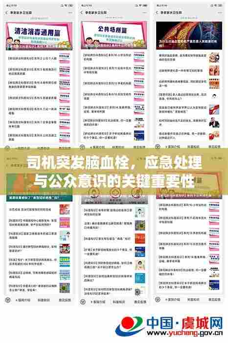 司机突发脑血栓,应急处理与公众意识的关键重要性