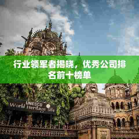 行业领军者揭晓，优秀公司排名前十榜单