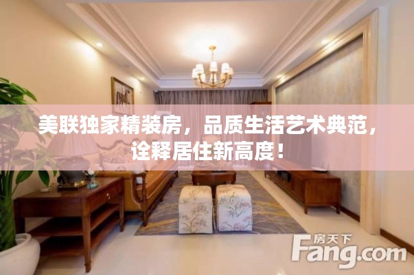 美联独家精装房,品质生活艺术典范,诠释居住新高度!