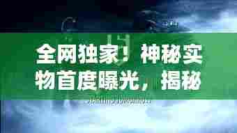 全网独家！神秘实物首度曝光，揭秘未知魅力，一睹独特风采