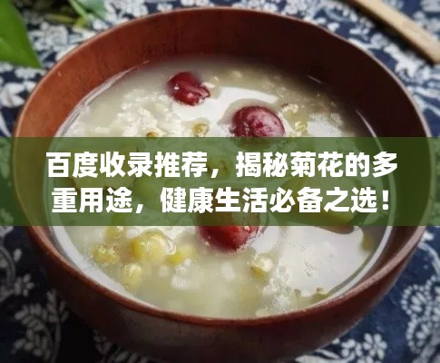 百度收录推荐，揭秘菊花的多重用途，健康生活必备之选！