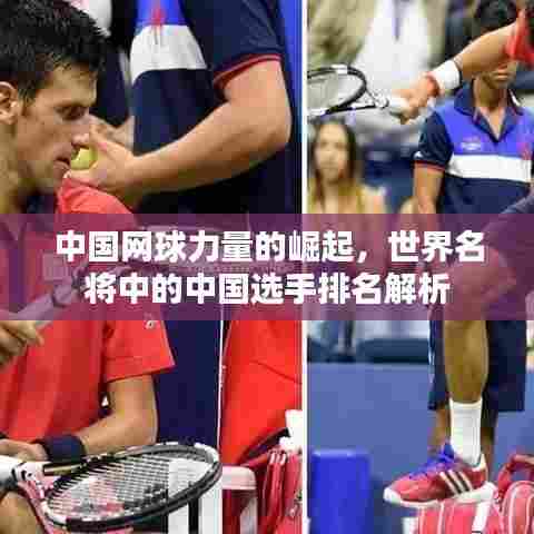 中国网球力量的崛起，世界名将中的中国选手排名解析