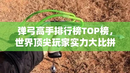 弹弓高手排行榜TOP榜,世界顶尖玩家实力大比拼!