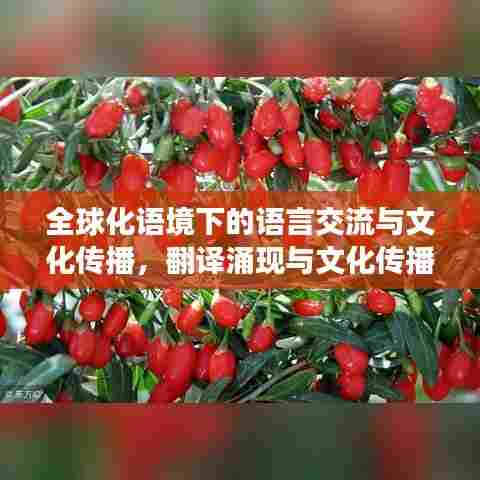 全球化语境下的语言交流与文化传播,翻译涌现与文化传播深度解析
