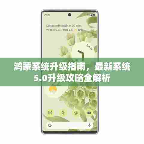 鸿蒙系统升级指南，最新系统5.0升级攻略全解析