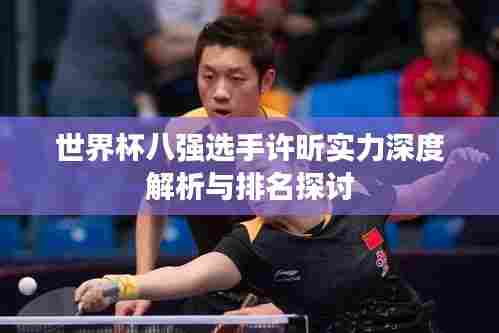 世界杯八强选手许昕实力深度解析与排名探讨