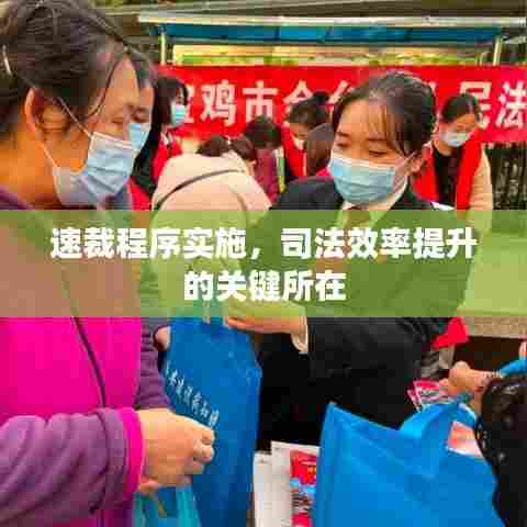 速裁程序实施,司法效率提升的关键所在