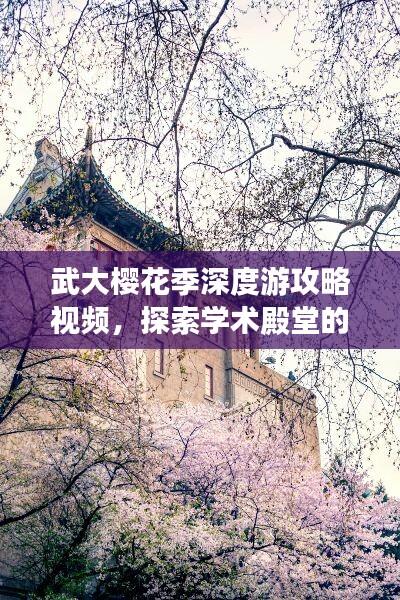 武大樱花季深度游攻略视频,探索学术殿堂的浪漫之旅