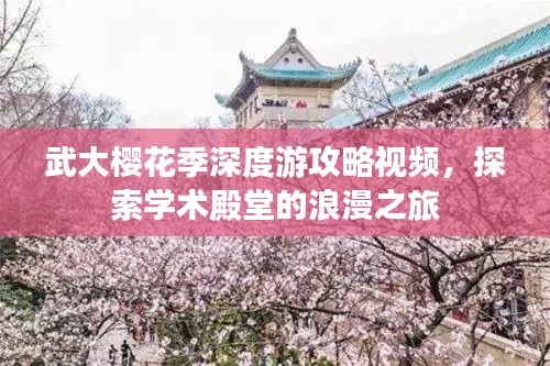 武大樱花季深度游攻略视频,探索学术殿堂的浪漫之旅