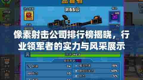 像素射击公司排行榜揭晓,行业领军者的实力与风采展示