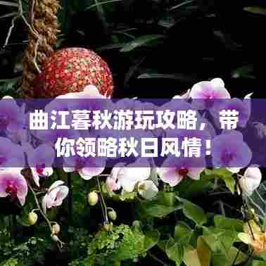 曲江暮秋游玩攻略，带你领略秋日风情！