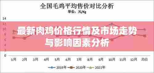 最新肉鸡价格行情及市场走势与影响因素分析